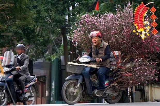 Cười sặc ảnh chế Quang Hải về quê bán đào kiếm bánh chưng có thịt, thầy Park tay xách nách mang sắm tết-3