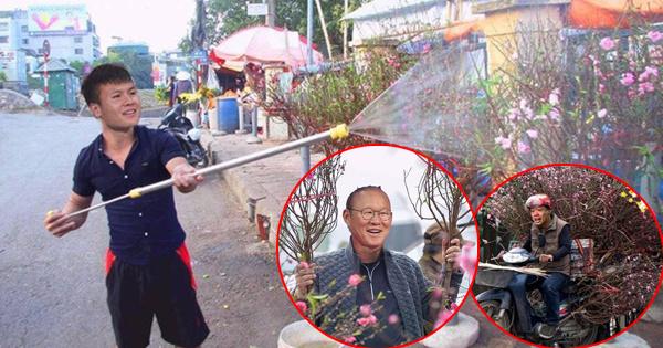 Cười 'sặc' ảnh chế Quang Hải về quê bán đào kiếm bánh chưng có thịt, thầy Park tay xách nách mang sắm tết