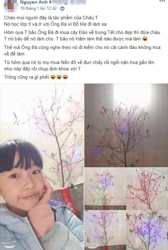 Ông bà đi mua cây đào chơi Tết, cháu gái xua tay bảo chỉ cần cành không hoa và thành quả đầy bất ngờ-1