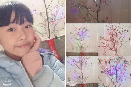 Ông bà đi mua cây đào chơi Tết, cháu gái xua tay bảo chỉ cần cành không hoa và thành quả đầy bất ngờ