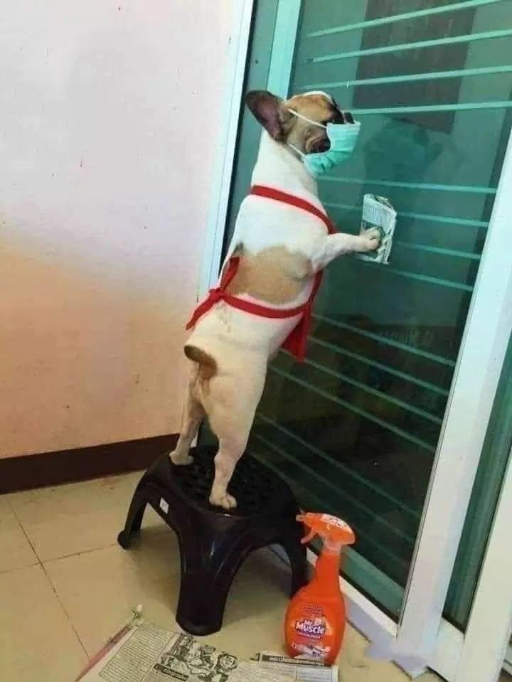 1001 nỗi ám ảnh dọn nhà ngày Tết-8