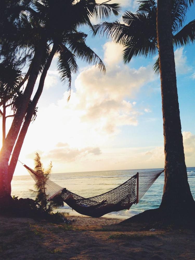 Tử vi thứ Sáu ngày 24/1/2020 của 12 con giáp: Thân có vận may trong tình yêu, Tuất thoải mái nghỉ ngơi-4