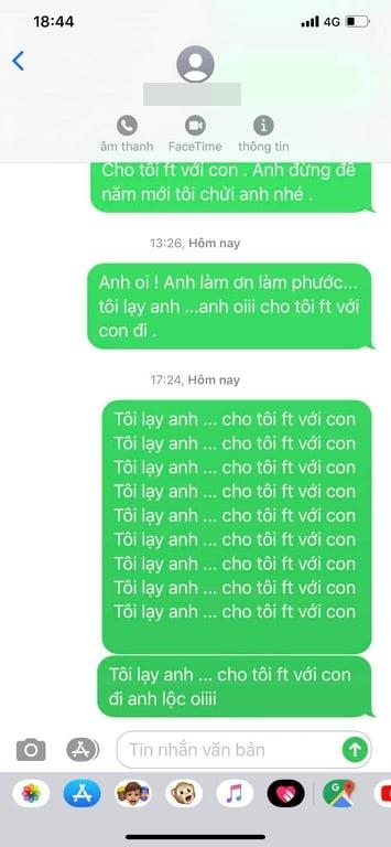 Nhật Kim Anh công khai tin nhắn lạy lục chồng cũ, cầu xin cho gặp con trai ngày Tết-2