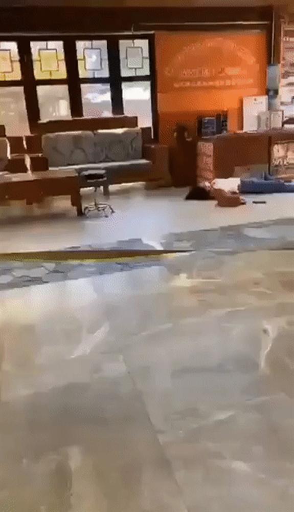 Người đàn ông ở Vũ Hán nghi bị nhiễm virus corona ngã xuống đất, nôn ra máu như trong phim kinh dị-3