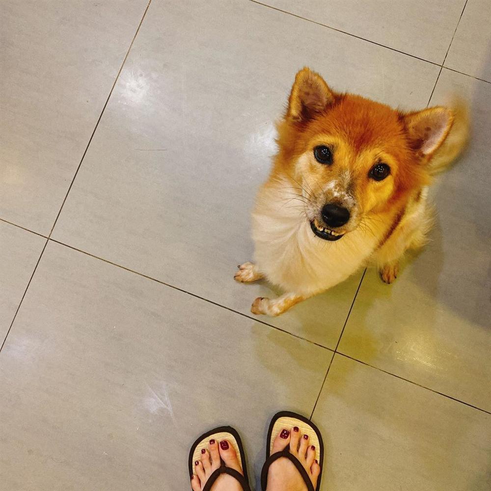 Không nhận ra hoa hậu Khánh Vân với hình ảnh dọn nhà đón Tết-10