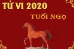 Vận mệnh của người tuổi Ngọ năm Canh Tý 2020: Sự nghiệp gian nan, căng thẳng vì áp lực