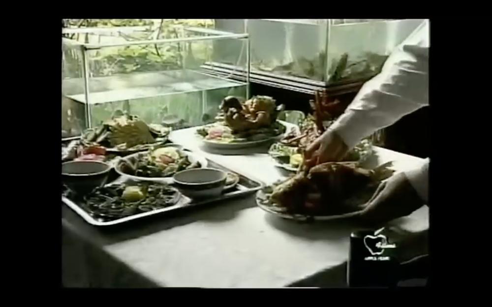 Tết Canh Tý 2020 nghe nhạc Xuân: Trai tài gái sắc Thành Lộc - Hồng Vân hát đã ngọt mà diễn còn tình như cái bình-3