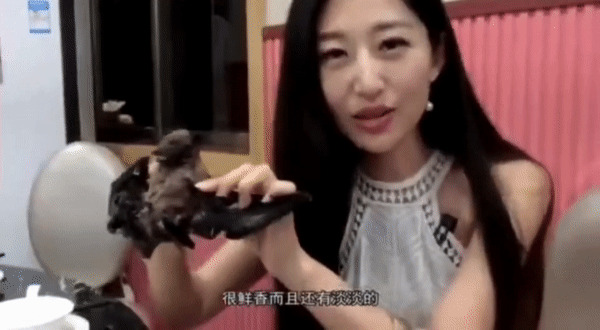 Háo hức thưởng thức súp dơi và hướng dẫn cách ăn, nữ blogger gây phẫn nộ khi dịch viêm phổi Vũ Hán bùng phát-1