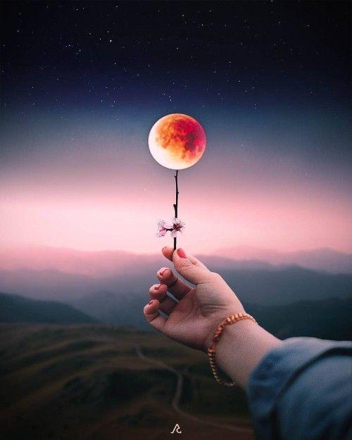 Tử vi thứ Ba ngày 28/1/2020 của 12 con giáp: Thìn nên xuất hành đầu năm, Thân tình duyên dễ xung khắc-1