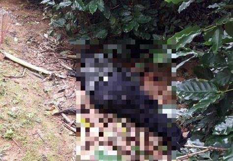 Phát hiện thi thể nghi phạm bắn chết nữ giáo viên-1