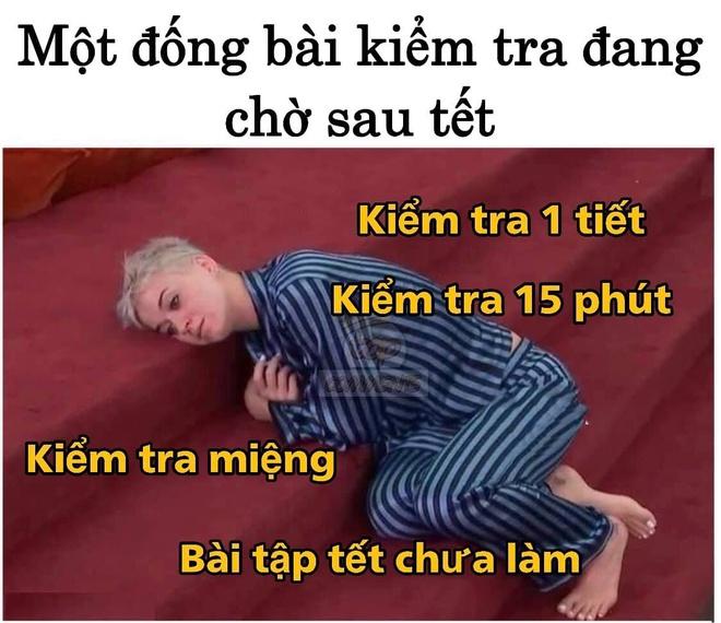 Ảnh chế những nỗi sợ của dân mạng khi hết Tết-3