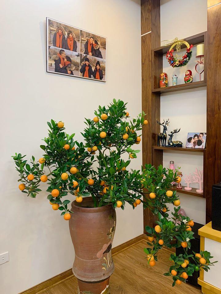 Gần 5 tháng khoe tậu nhà mới tiền tỷ, MC Hoàng Linh lần đầu hé lộ về nơi ở siêu to khổng lồ-6