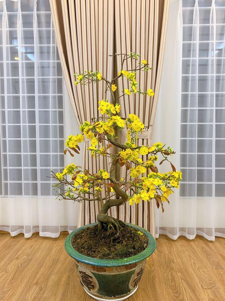 Gần 5 tháng khoe tậu nhà mới tiền tỷ, MC Hoàng Linh lần đầu hé lộ về nơi ở siêu to khổng lồ-7