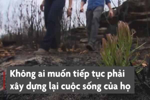 Thành cổ La Mã chìm sâu ở đáy biển-1