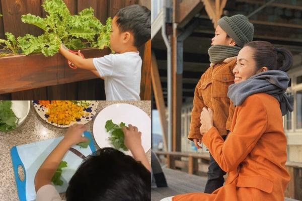 Tăng Thanh Hà thu hoạch trái cây trong vườn nhà-11