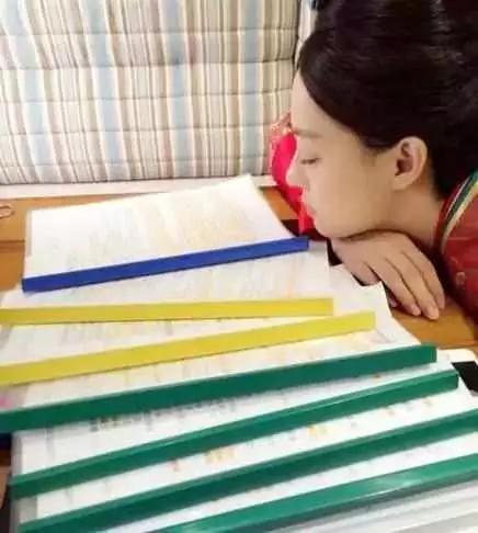 Diễn viên Hoa ngữ học thuộc lời thoại dày cả quyển như thế nào-2