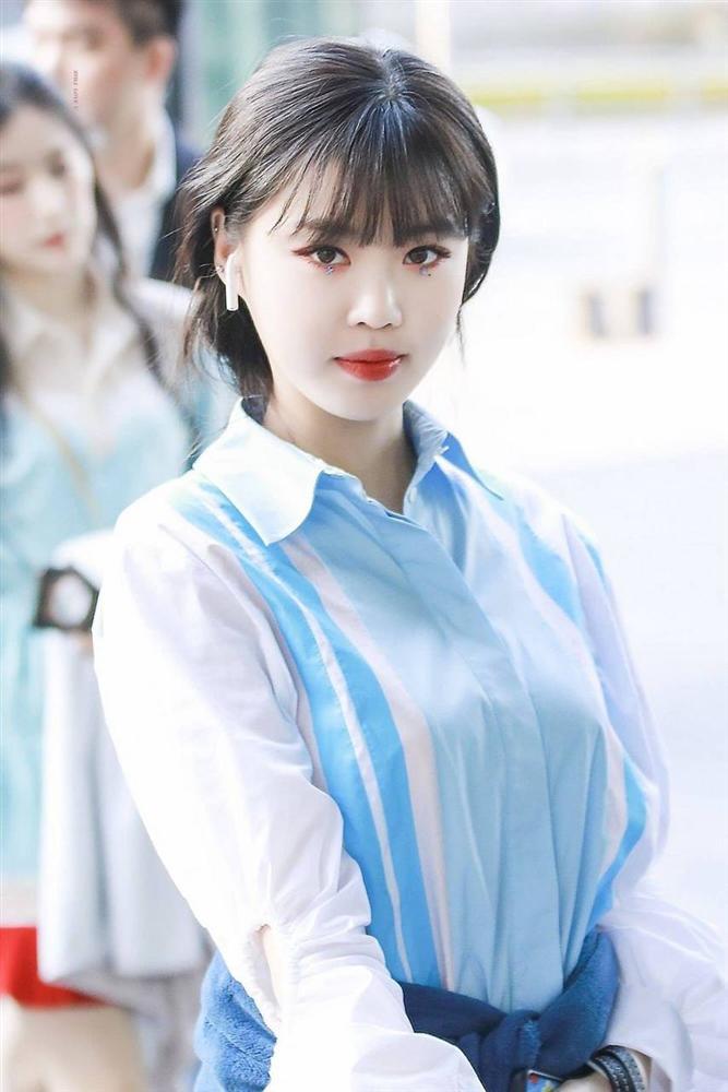 Tử vi tuần mới 12 con giáp từ 3/2/2020 - 9/2/2020: Thìn may mắn ngập lối, Ngọ nổi bật tình duyên-1