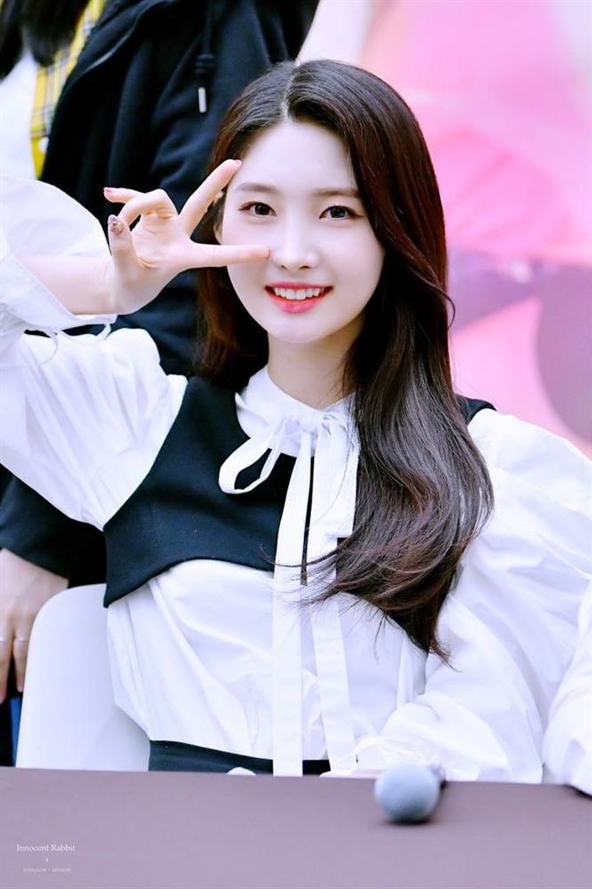 Tử vi thứ Tư ngày 5/2/2020 của 12 con giáp: Dậu rạn nứt tình cảm, Tuất tập trung công việc-1