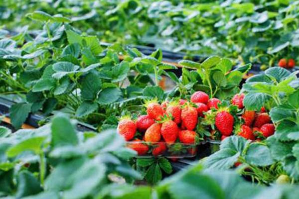 Trắc nghiệm Kokology: Mê cung bí hiểm tiết lộ tính cách con người bạn-4