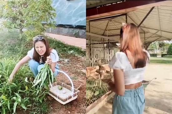 Nam Thư bị chỉ trích khi mặc crop-top vào nhà thờ Tổ của Hoài Linh