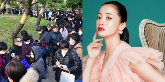 1.000 người xếp hàng nghe tòa tuyên án ‘Quốc bảo nhan sắc’ Nhật Bản-1