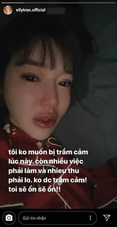 Elly Trần nói hớ để lộ thông tin ly hôn chồng ngoại quốc-4