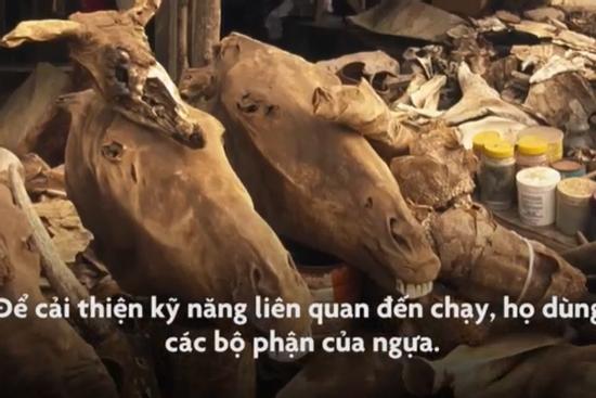 Khu chợ bùa ngải lớn nhất thế giới