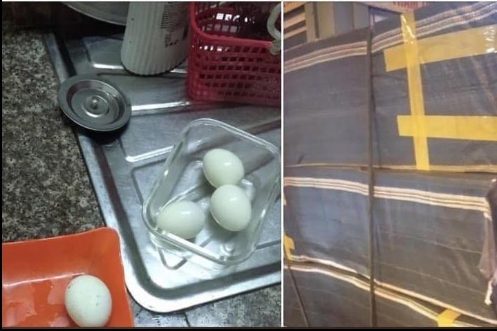 Cuộc sống của du khách trong nhà tù trên biển giữa đại dịch corona-1