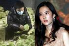 Showbiz sụp đổ, nghệ sĩ Trung Quốc làm gì giữa đại dịch virus corona?