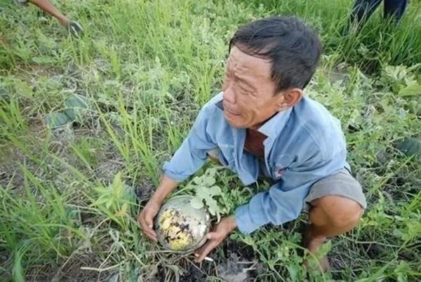 Sao Việt đồng loạt giải cứu dưa hấu ủng hộ nông dân giữa mùa dịch Corona-1