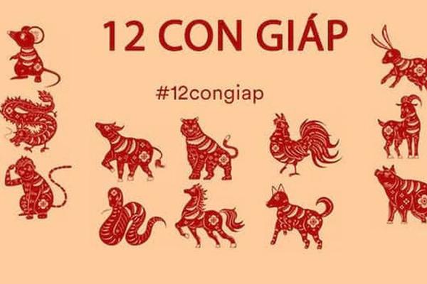 Tử vi thứ Ba ngày 11/2/2020 của 12 con giáp: Thân dễ mắc lỗi công việc, Tuất vận tài chính khởi sắc-5