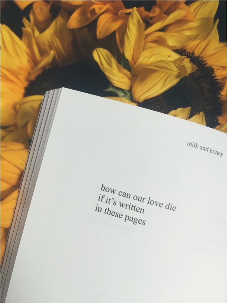 Tử vi thứ Ba ngày 11/2/2020 của 12 con giáp: Thân dễ mắc lỗi công việc, Tuất vận tài chính khởi sắc-3