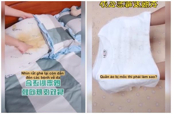 Tử vi tuần mới từ 9/3 đến 15/3/2020 của 12 cung hoàng đạo: Xử Nữ chịu tổn thất, Thiên Bình bị coi thường-3