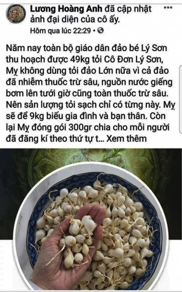 Facebooker Lương Hoàng Anh bị mời làm việc sau tin vịt về tỏi Lý Sơn-1