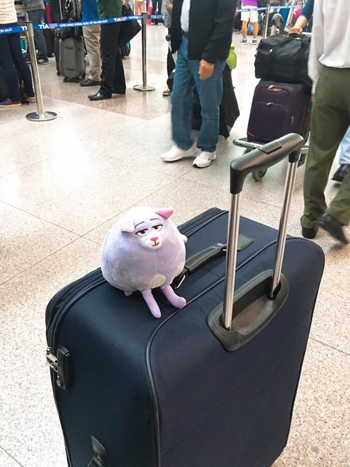 Kè kè bên thú nhồi bông suốt 5 năm, Lan Khuê được chồng đại gia cổ vũ đừng từ bỏ sự ngây thơ-6