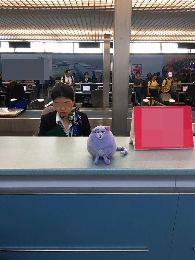 Kè kè bên thú nhồi bông suốt 5 năm, Lan Khuê được chồng đại gia cổ vũ đừng từ bỏ sự ngây thơ-7