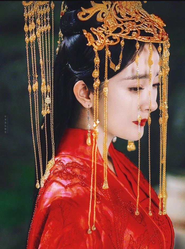 Phản ứng của Cbiz khi Dương Mịch đọc truyện bách hợp ở sân bay-2