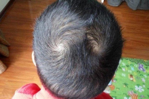 Ai là con giáp nam đáng lấy làm chồng nhất, hết lòng hết dạ vì gia đình, phụ nữ lấy được sướng cả một đời-4