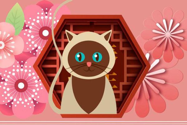 3 nàng giáp vừa giỏi vừa hào phóng, đi đến đâu cũng gieo thương nhớ cho đàn ông, bạn bè nể trọng-4