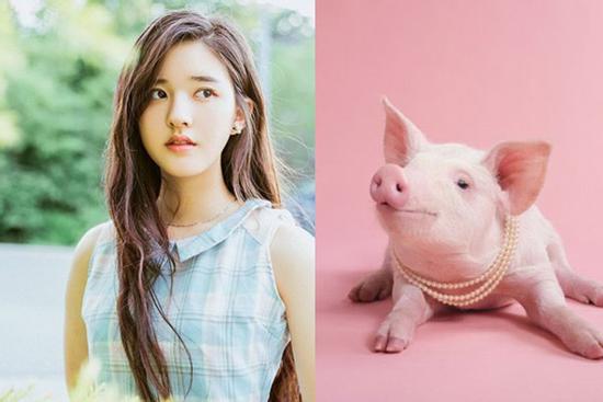 3 nàng giáp vừa giỏi vừa hào phóng, đi đến đâu cũng gieo thương nhớ cho đàn ông, bạn bè nể trọng