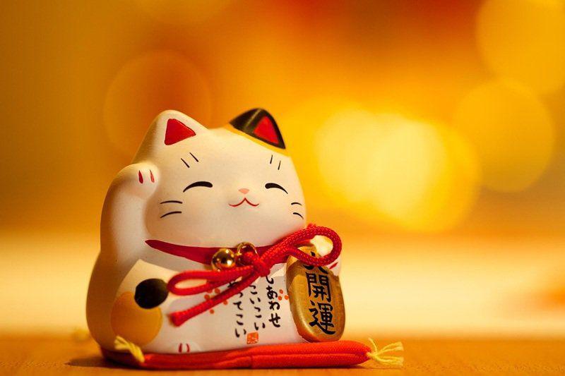 3 tháng phát tài trong năm Canh Tý 2020 cho tuổi Mão giàu nứt đố đổ vách-1