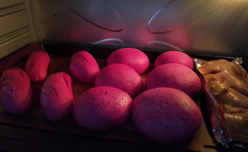 Tự làm bánh mì thanh long ở nhà, tại sao không?-5