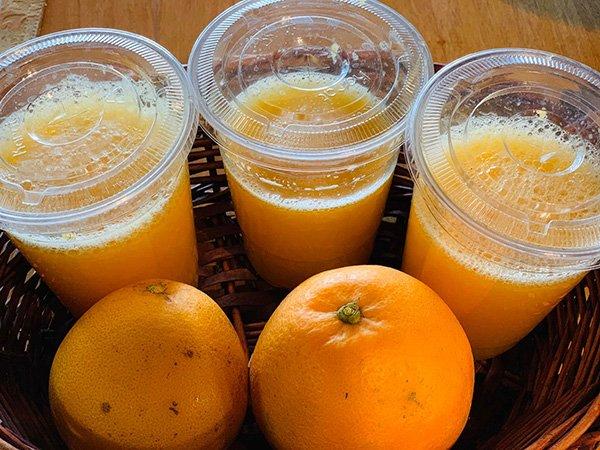 Sau bao năm vắng bóng màn ảnh, Út Ráng và Út Nhỏ vẫn trẻ đẹp bất chấp thời gian-11