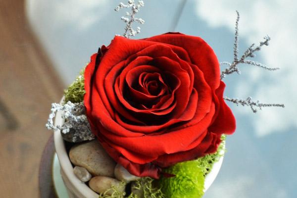 21 ngày tới, 3 con giáp cẩn thận thị phi, tai bay vạ gió, ăn nói phải chỉn chu từng lời-4