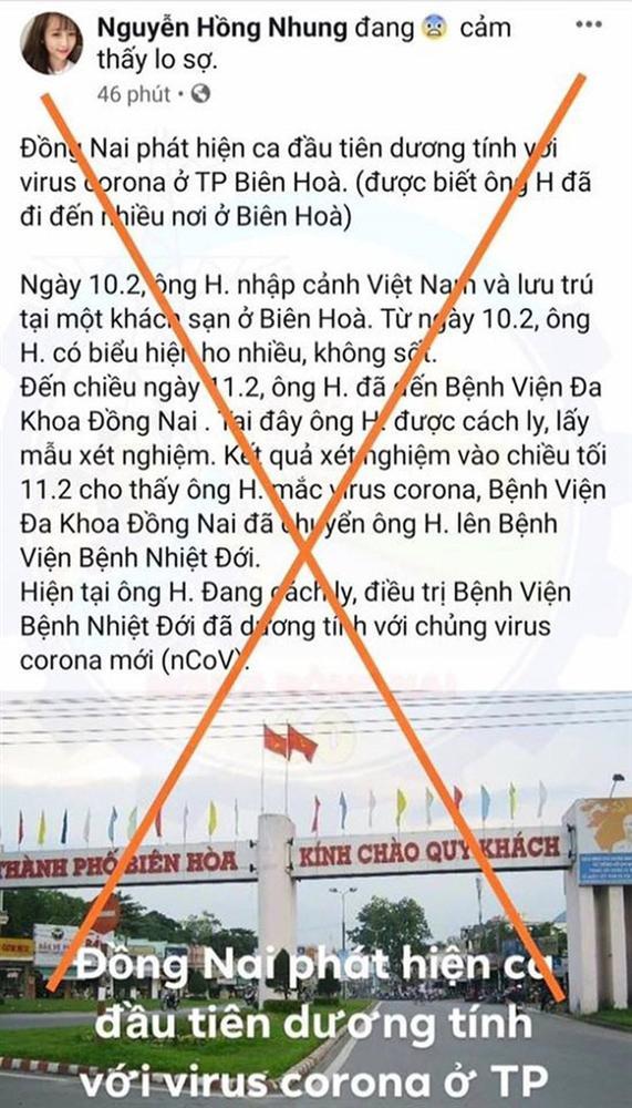 Đăng tin giả về Covid-19, người đang ở bên Mỹ đã bị tìm thấy ở Đồng Nai-1