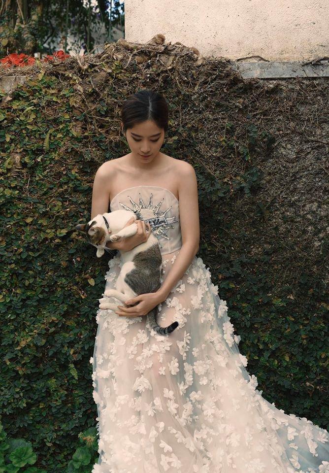 Sao Việt dắt thú cưng đi dạo: Hà Tăng như soái tỷ, Nam Em lại lộng lẫy tựa nữ hoàng-4