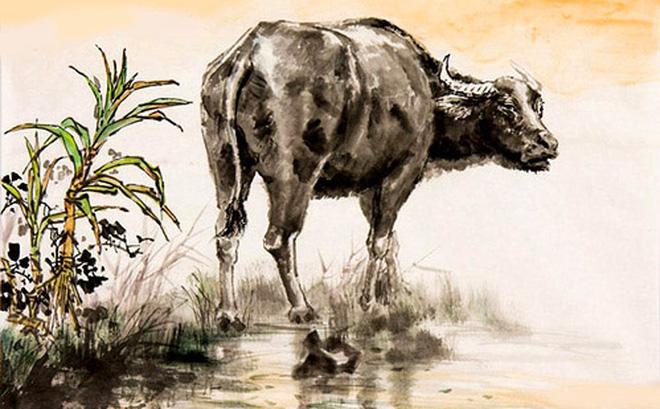 Trong số 12 con giáp, có 4 con giáp tiêu tiền hoang phí bậc nhất, nên chú ý điều chỉnh-3