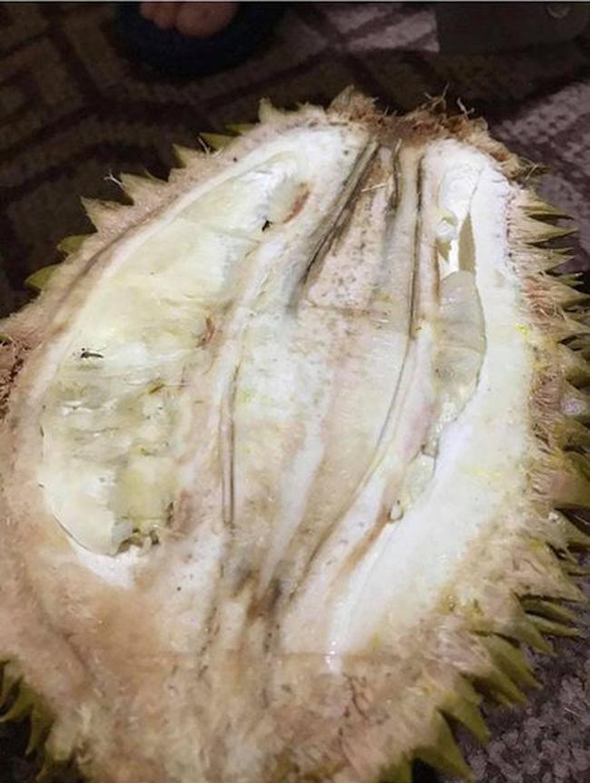 Bỏ đống tiền ra giải cứu sầu riêng, cô gái cay đắng nhận về sản phẩm không thể lỗi hơn-4