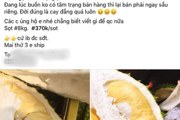 Cách làm bánh ngọt hình xương rồng độc lạ, hút khách-1