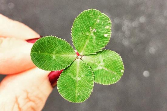 4 cung Hoàng đạo có năng lực kiếm tiền mạnh mẽ, hậu vận trở thành đại gia khó ai bì kịp